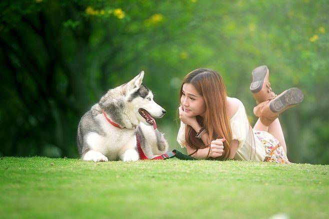 业链分析：现状、痛点、需求、趋势CQ9电子登录注册宠物食品行业产