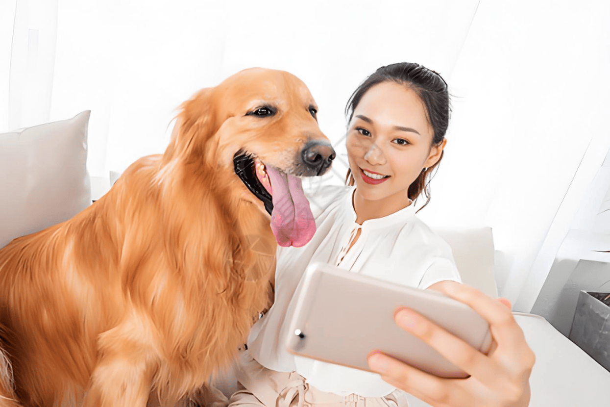 业链分析：现状、痛点、需求、趋势CQ9电子登录注册宠物食品行业产(图2)