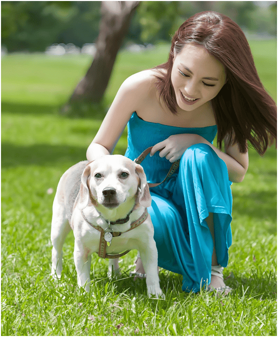 业链分析：现状、痛点、需求、趋势CQ9电子登录注册宠物食品行业产(图3)