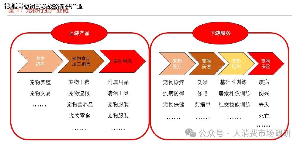 展现状与驱动因素分析（15页报告）CQ9电子登录注册宠物食品市场发