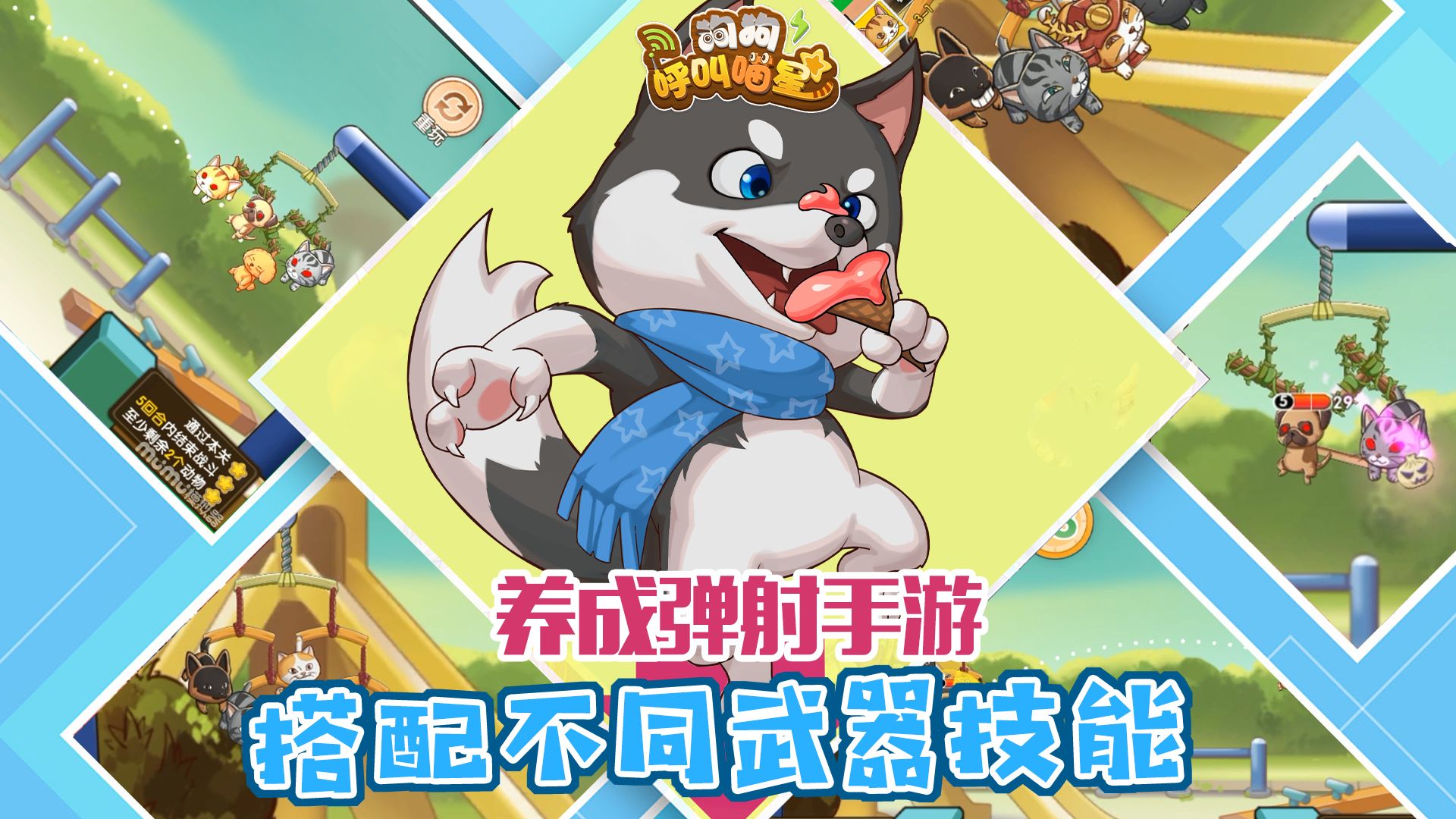 狗狗呼叫喵星测试服CQ9电子平台网站(图1)