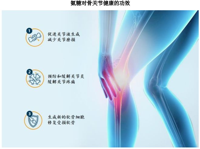 ：扎根运动健康赛道凭多元布局赢长远未来CQ9电子平台HMB全球龙头技源集团(图5)