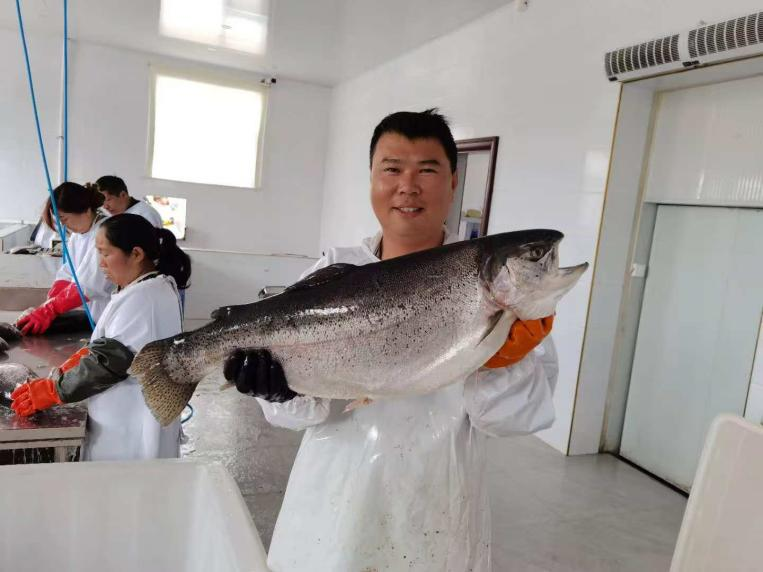 年夜饭菜单焕新太行山三文鱼游上春节餐桌……CQ9电子登录注册新闻有观点·行业洞察丨(图2)