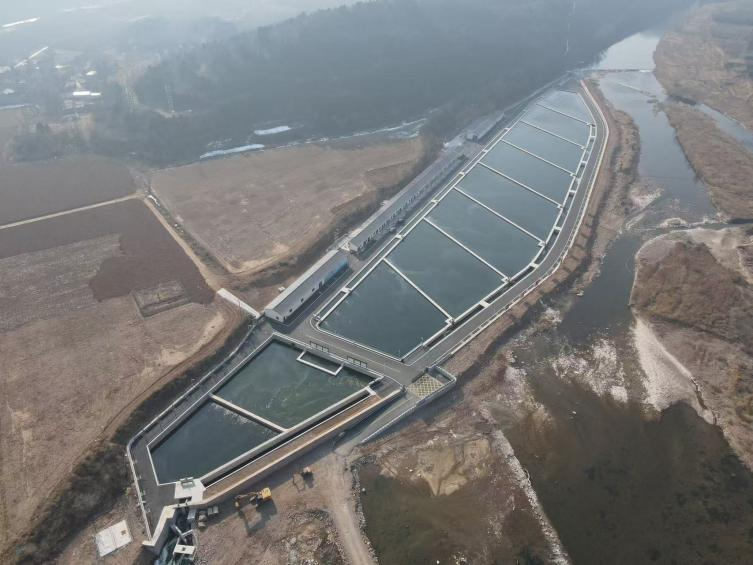 年夜饭菜单焕新太行山三文鱼游上春节餐桌……CQ9电子登录注册新闻有观点·行业洞察丨(图3)