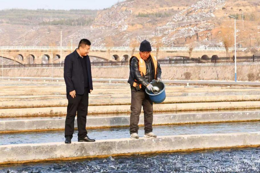 年夜饭菜单焕新太行山三文鱼游上春节餐桌……CQ9电子登录注册新闻有观点·行业洞察丨(图4)